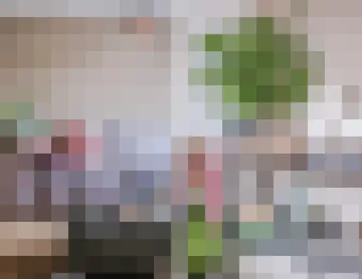 Panneveld 23 Nuenen thumbnail 14