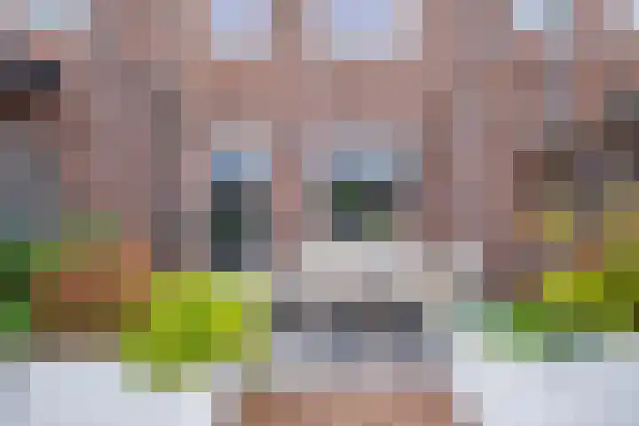 Panneveld 23 Nuenen thumbnail 37