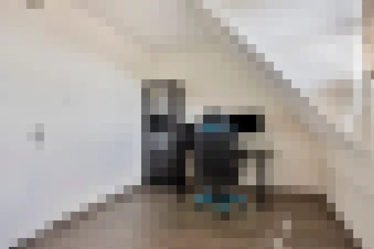 Panneveld 7 Nuenen thumbnail 15