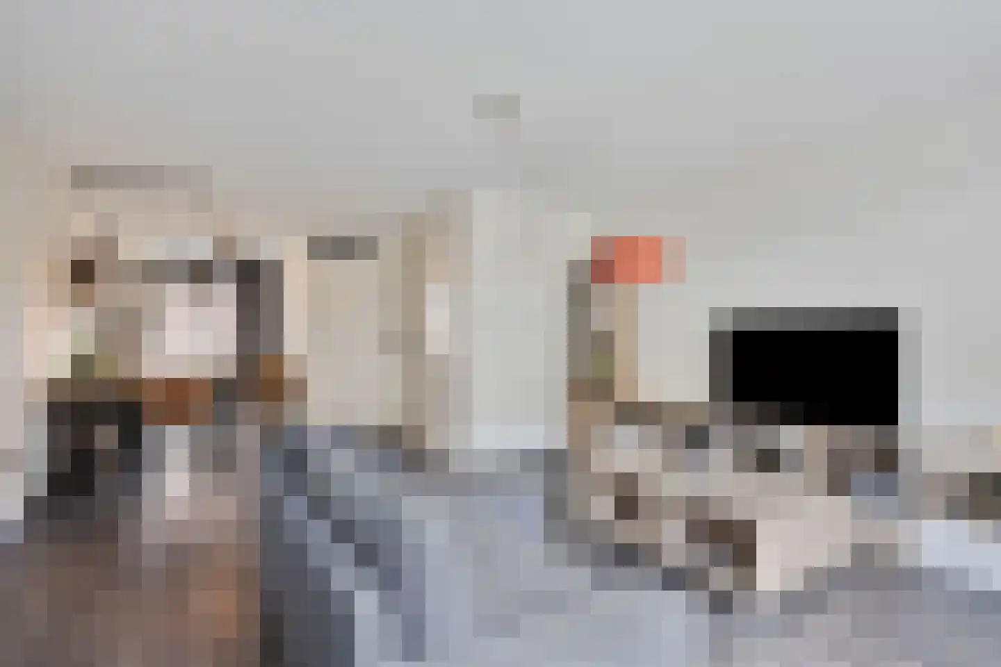 Panneveld 7 Nuenen thumbnail 8