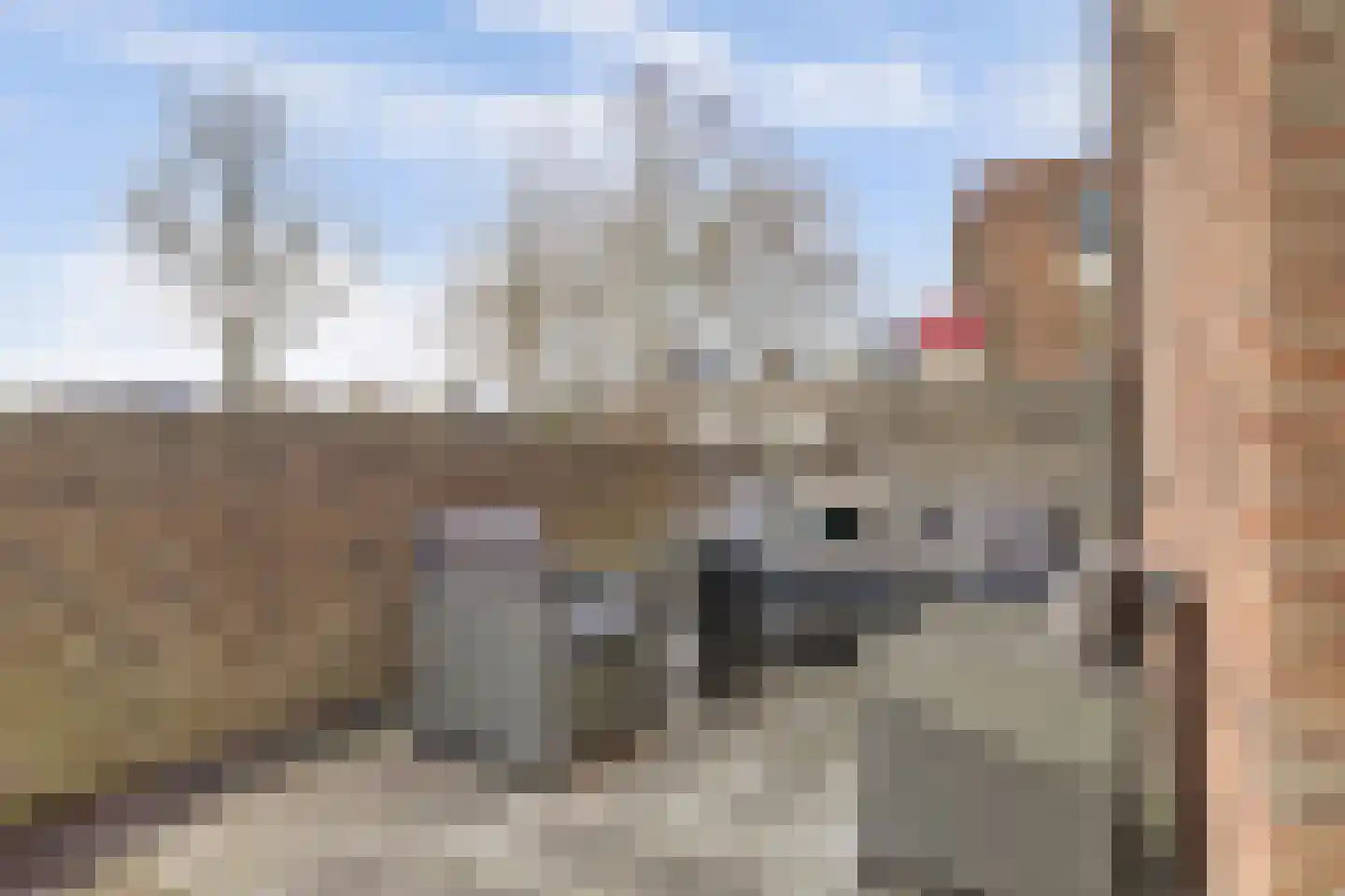 Pannewal 22 Enkhuizen thumbnail 7