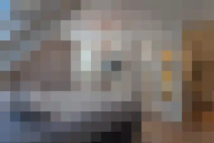 Pannewal 3 Enkhuizen thumbnail 10