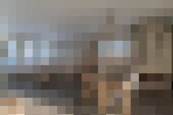 Pannewal 3 Enkhuizen thumbnail 20