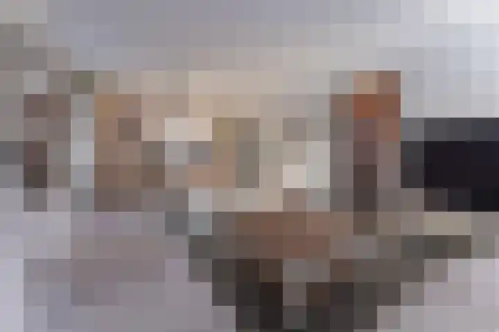 Pannewal 3 Enkhuizen thumbnail 21