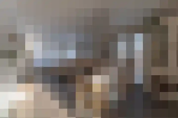 Pannewal 3 Enkhuizen thumbnail 22