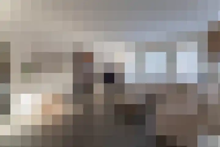 Pannewal 3 Enkhuizen thumbnail 30