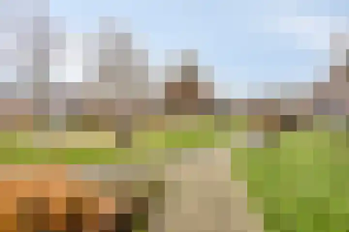 Panningerveld 16 Panningen thumbnail 37