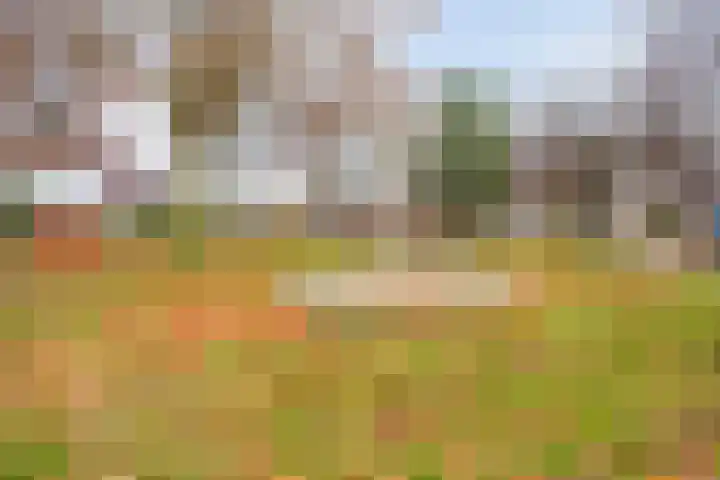 Panningerveld 16 Panningen thumbnail 38