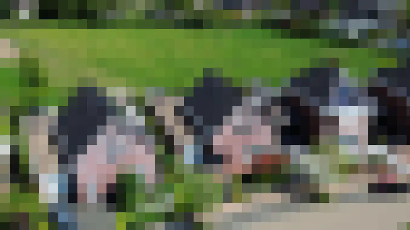 Pannisserweide 30 Simpelveld thumbnail 4