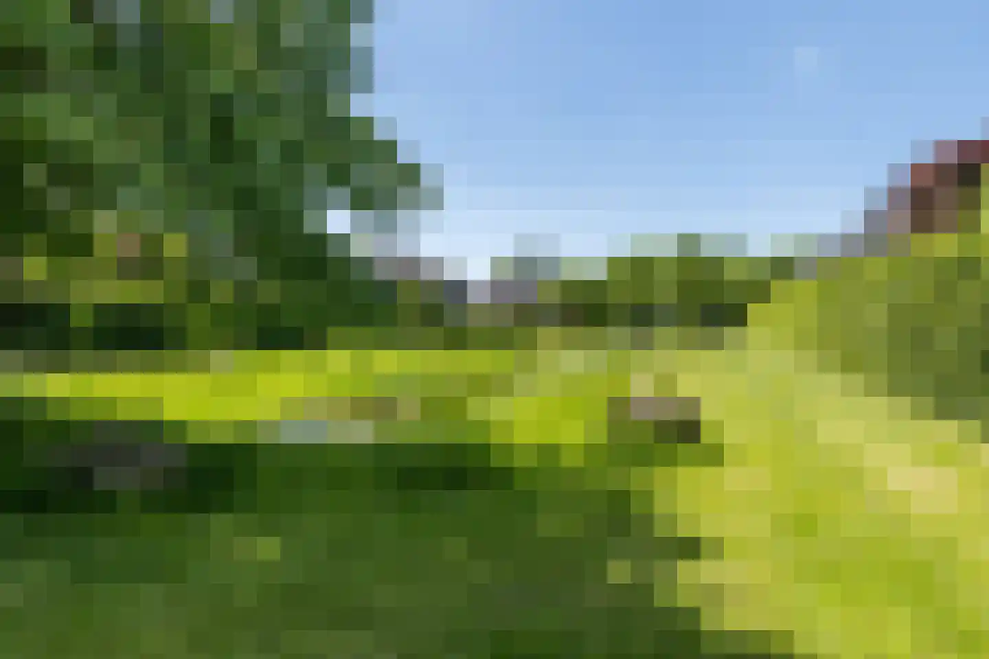 Pannisserweide 30 Simpelveld thumbnail 45