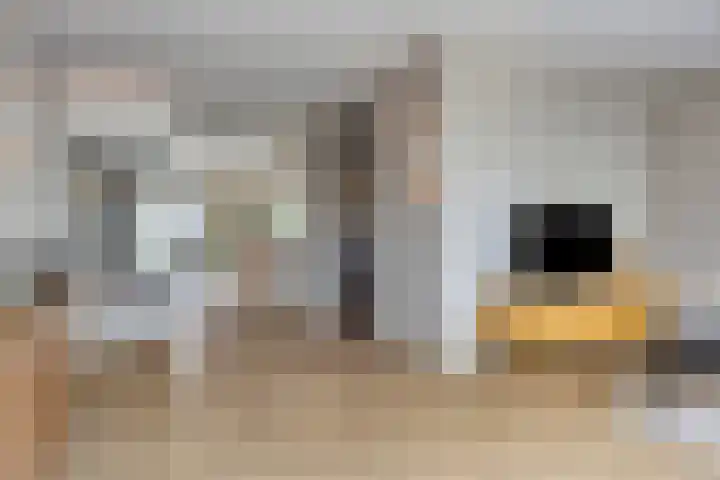 Panorama 23 Eindhoven thumbnail 10