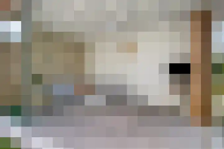 Panorama 23 Eindhoven thumbnail 21