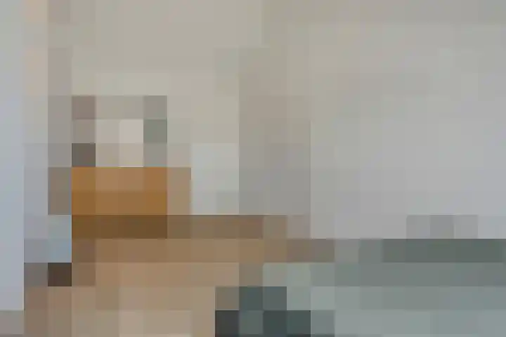 Panorama 23 Eindhoven thumbnail 35