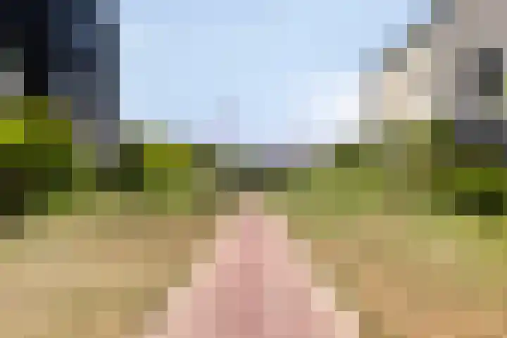 Panorama 23 Eindhoven thumbnail 39