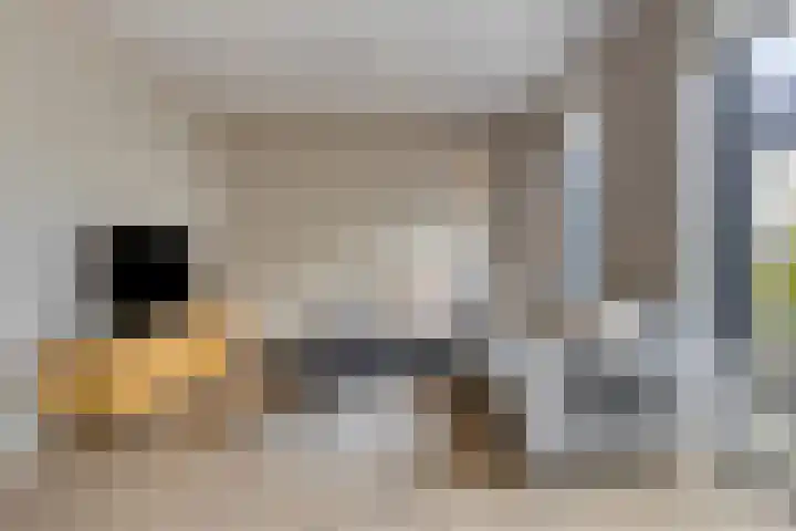Panorama 23 Eindhoven thumbnail 8