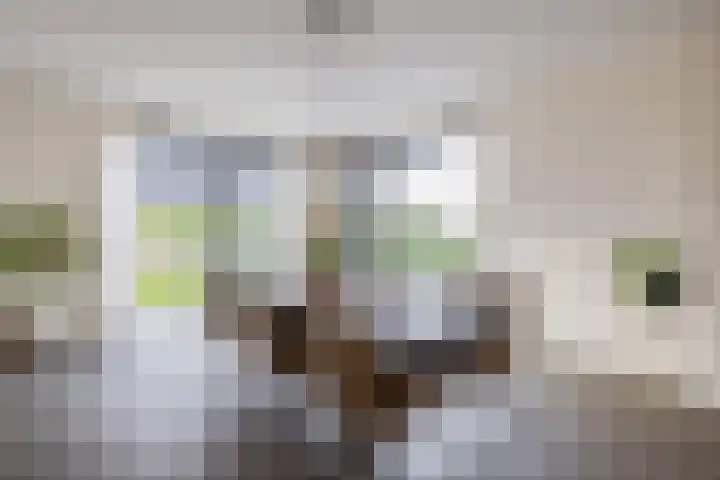 Panorama 29 Eindhoven thumbnail 20