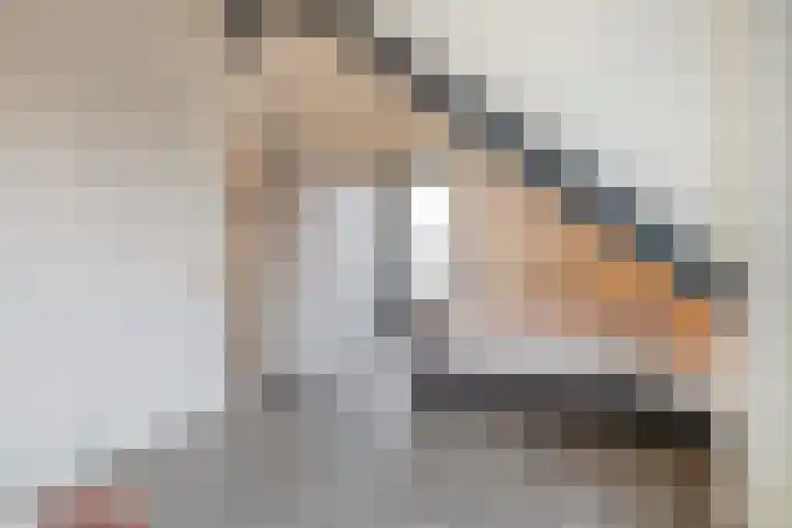 Panorama 29 Eindhoven thumbnail 35