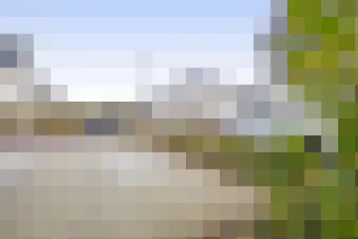 Panorama 29 Eindhoven thumbnail 7