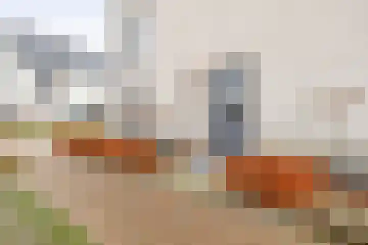 Panorama 29 Eindhoven thumbnail 9