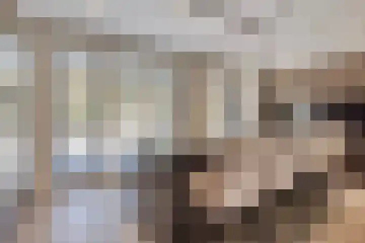 Panorama 42 Eindhoven thumbnail 10