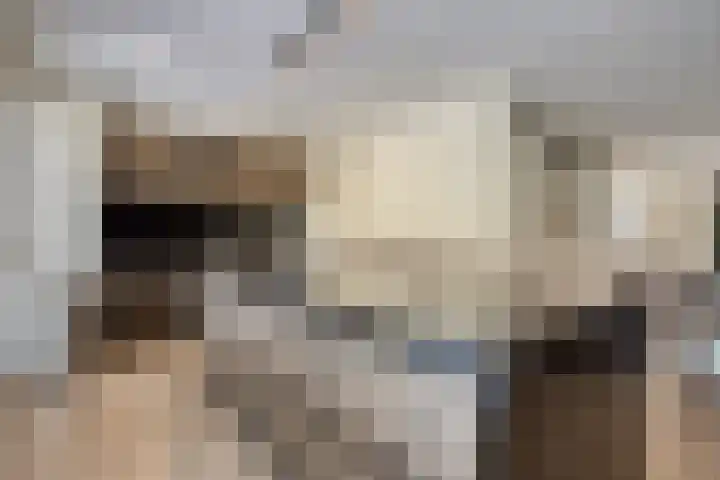 Panorama 42 Eindhoven thumbnail 11
