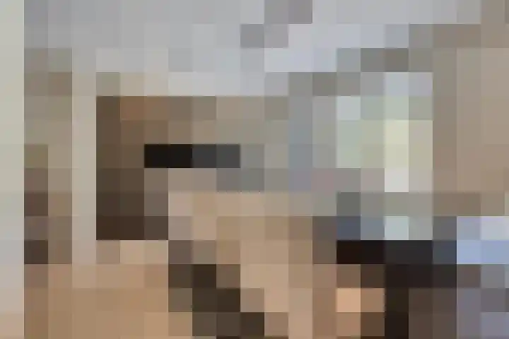 Panorama 42 Eindhoven thumbnail 13
