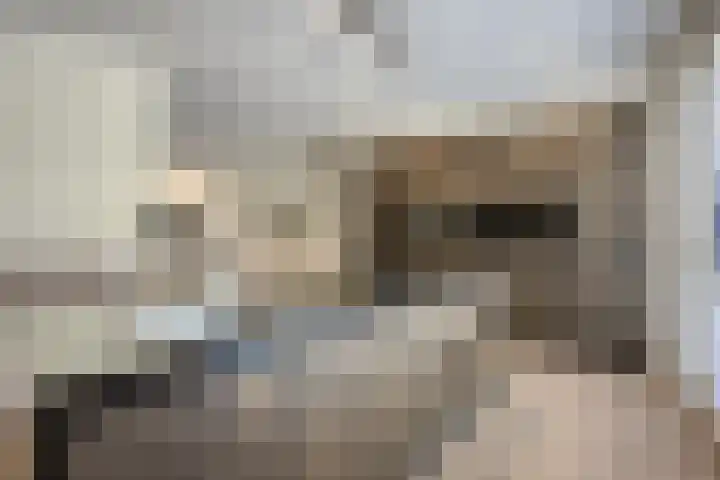 Panorama 42 Eindhoven thumbnail 14