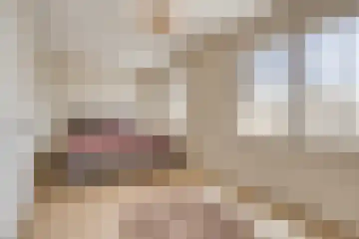 Panorama 42 Eindhoven thumbnail 18