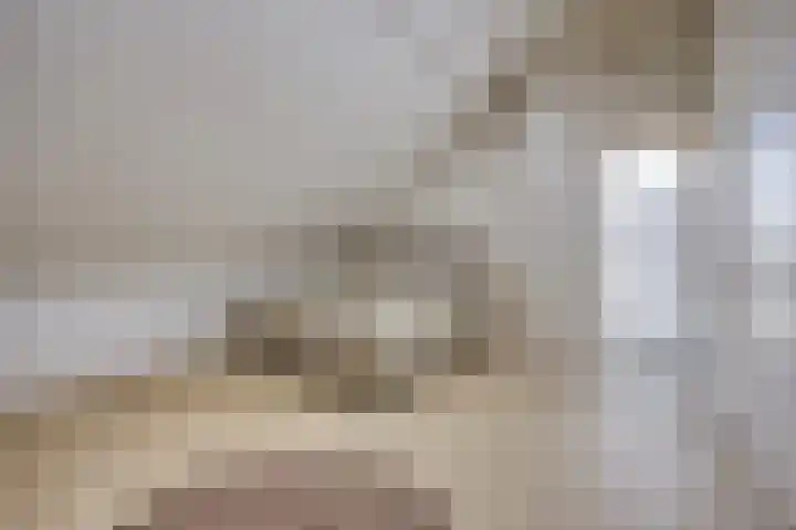 Panorama 42 Eindhoven thumbnail 25