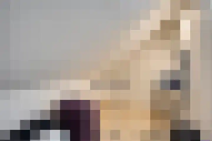 Panorama 42 Eindhoven thumbnail 29