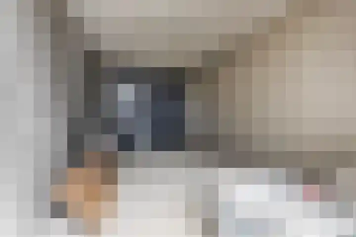 Panorama 42 Eindhoven thumbnail 30