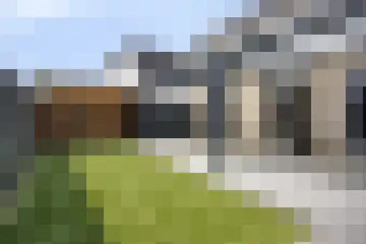 Panorama 42 Eindhoven thumbnail 33