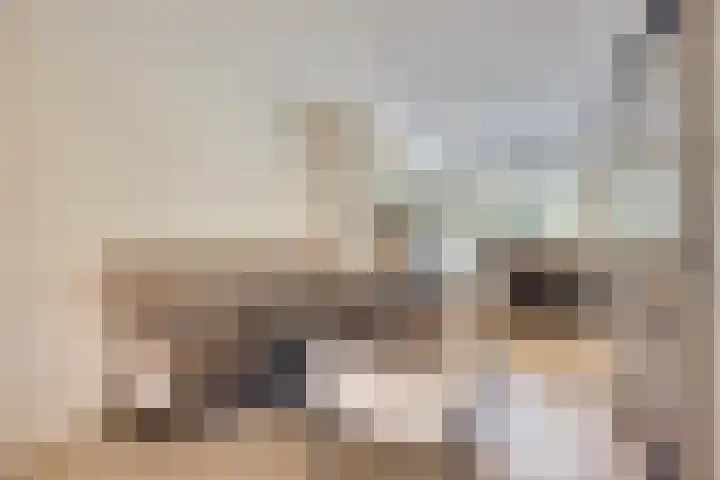 Panorama 42 Eindhoven thumbnail 9