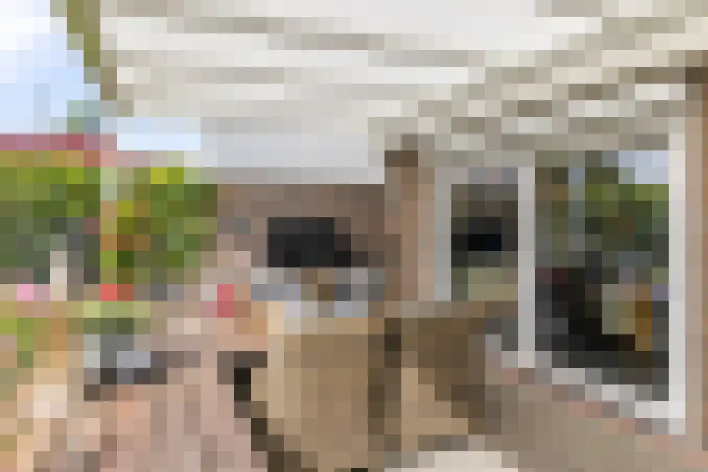 Panoramaweg 1 Puth thumbnail 7
