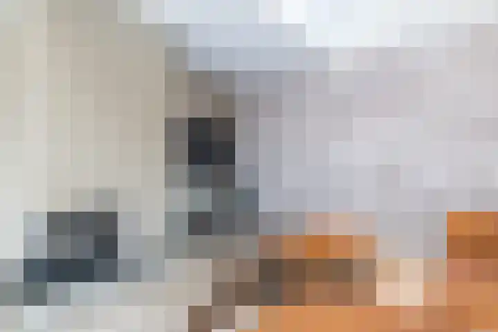 Panoramaweg 2 A Puth thumbnail 9