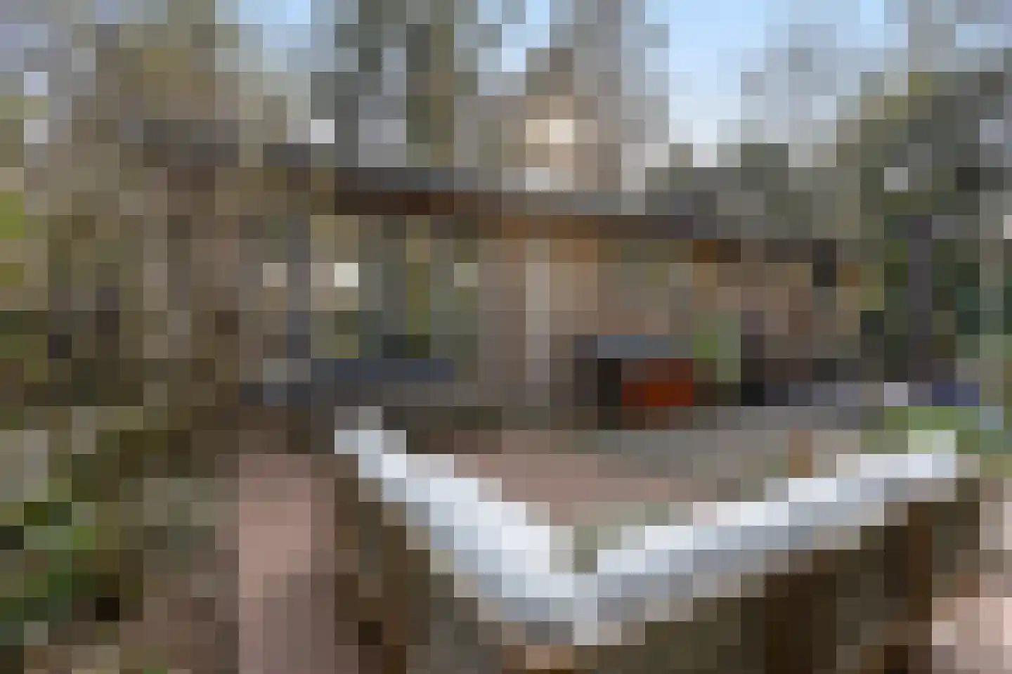 Panoramaweg 27 R 563 Bennekom thumbnail 9