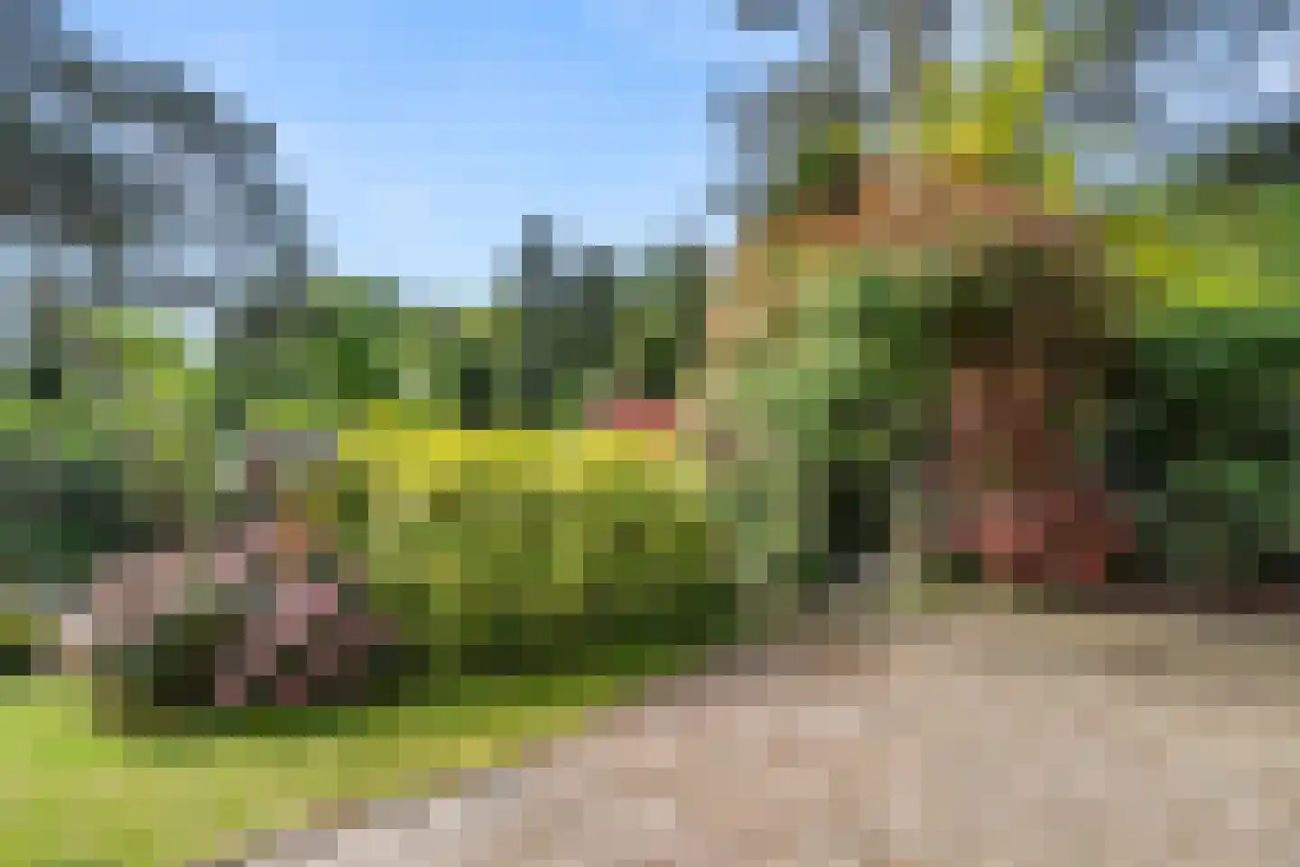 Panoramaweg 27 R C17 Bennekom thumbnail 11