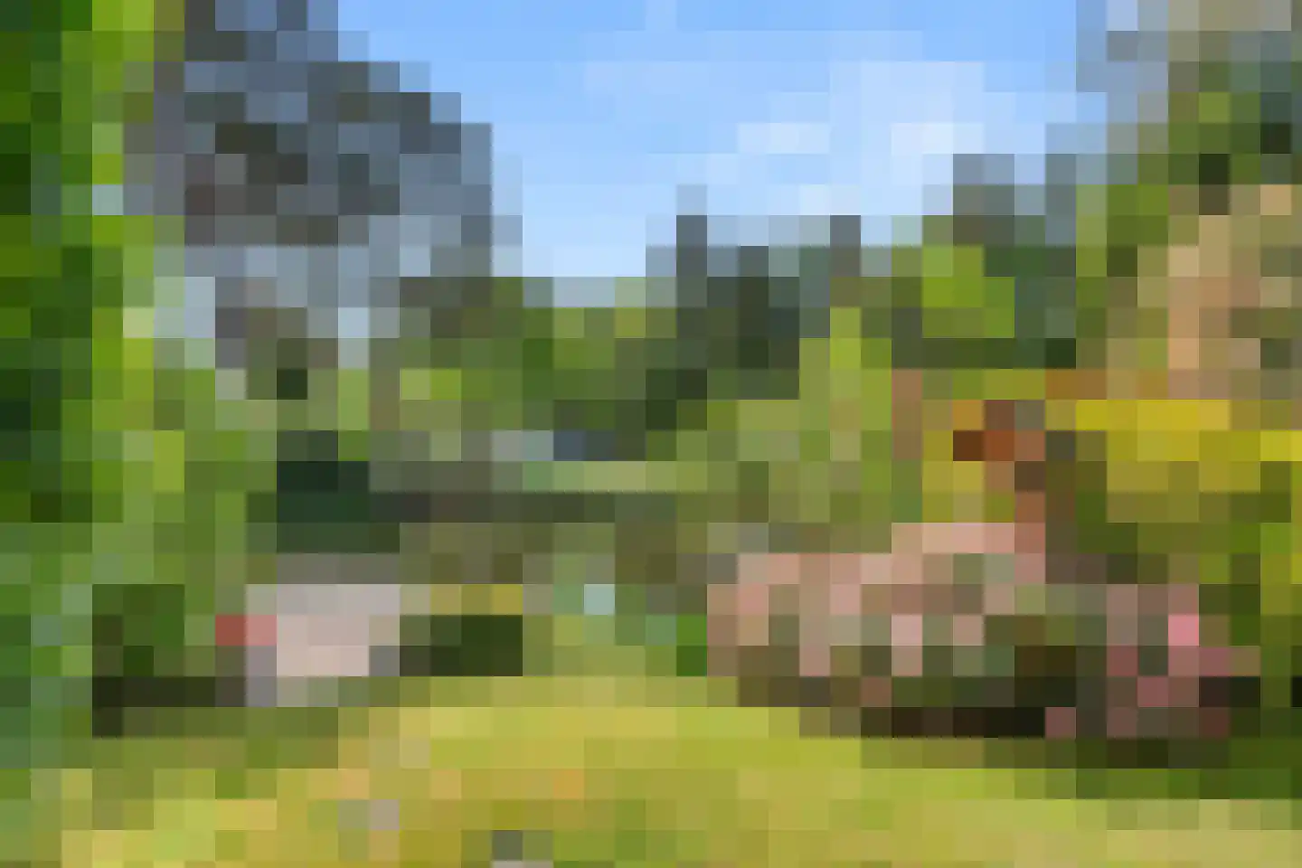 Panoramaweg 27 R C17 Bennekom thumbnail 12