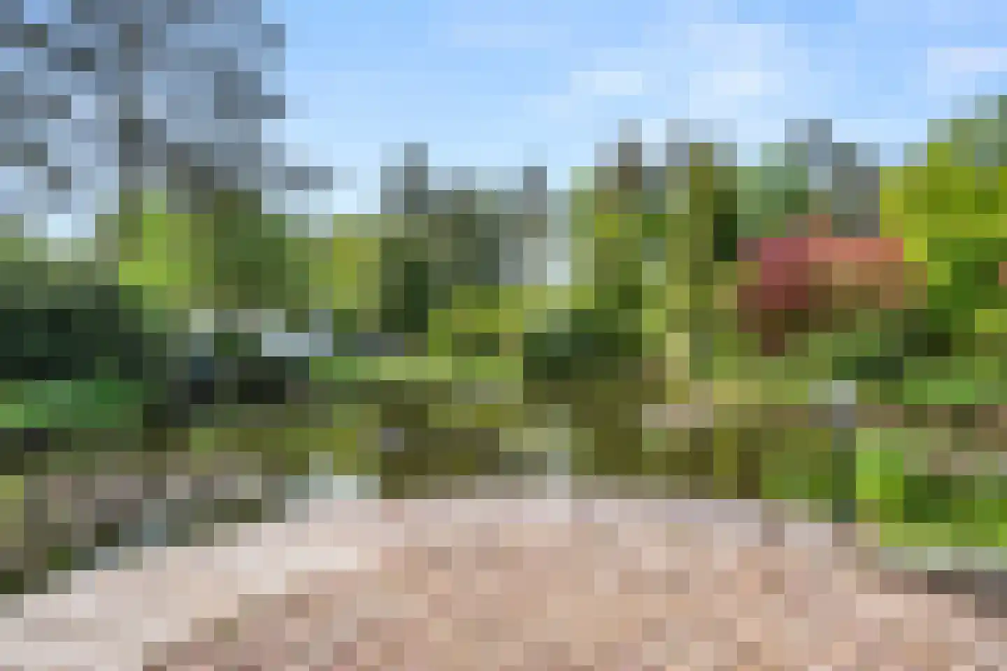 Panoramaweg 27 R C17 Bennekom thumbnail 13