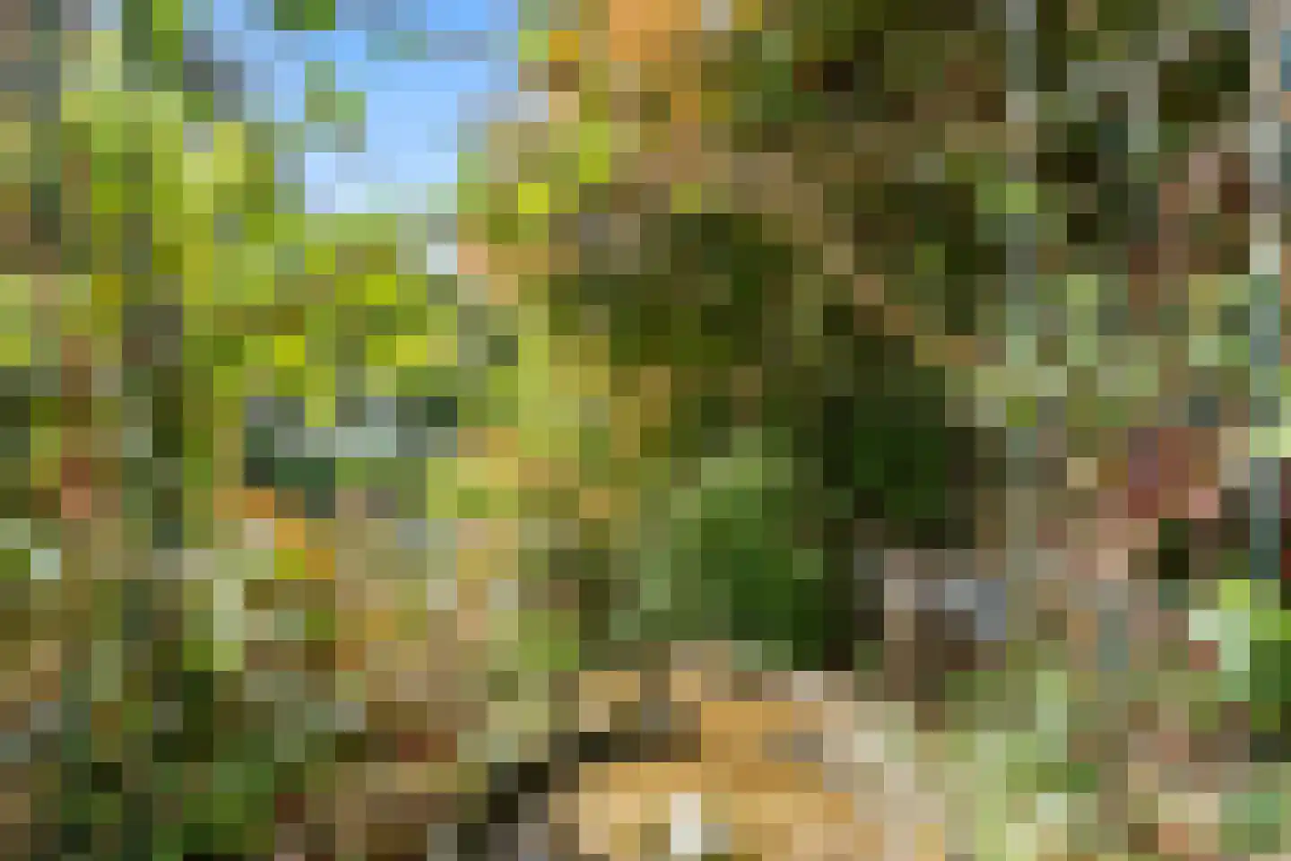 Panoramaweg 27 R C17 Bennekom thumbnail 14