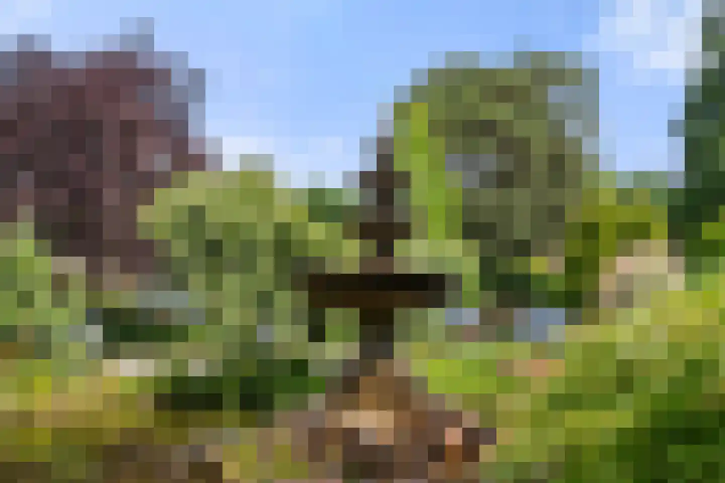 Panoramaweg 27 R C17 Bennekom thumbnail 34