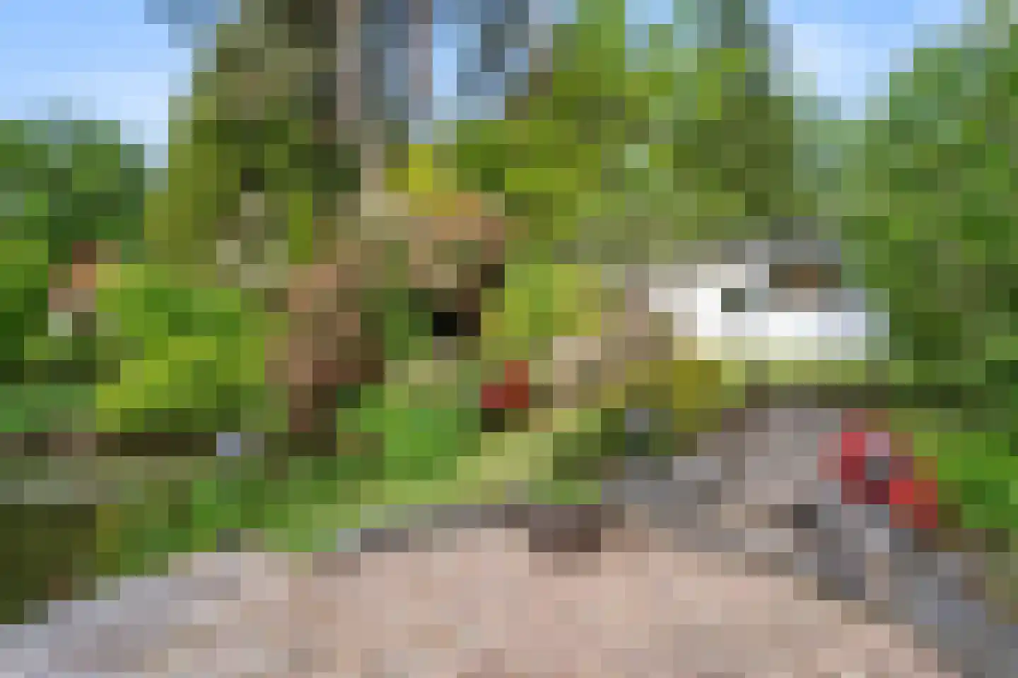Panoramaweg 27 R C17 Bennekom thumbnail 4