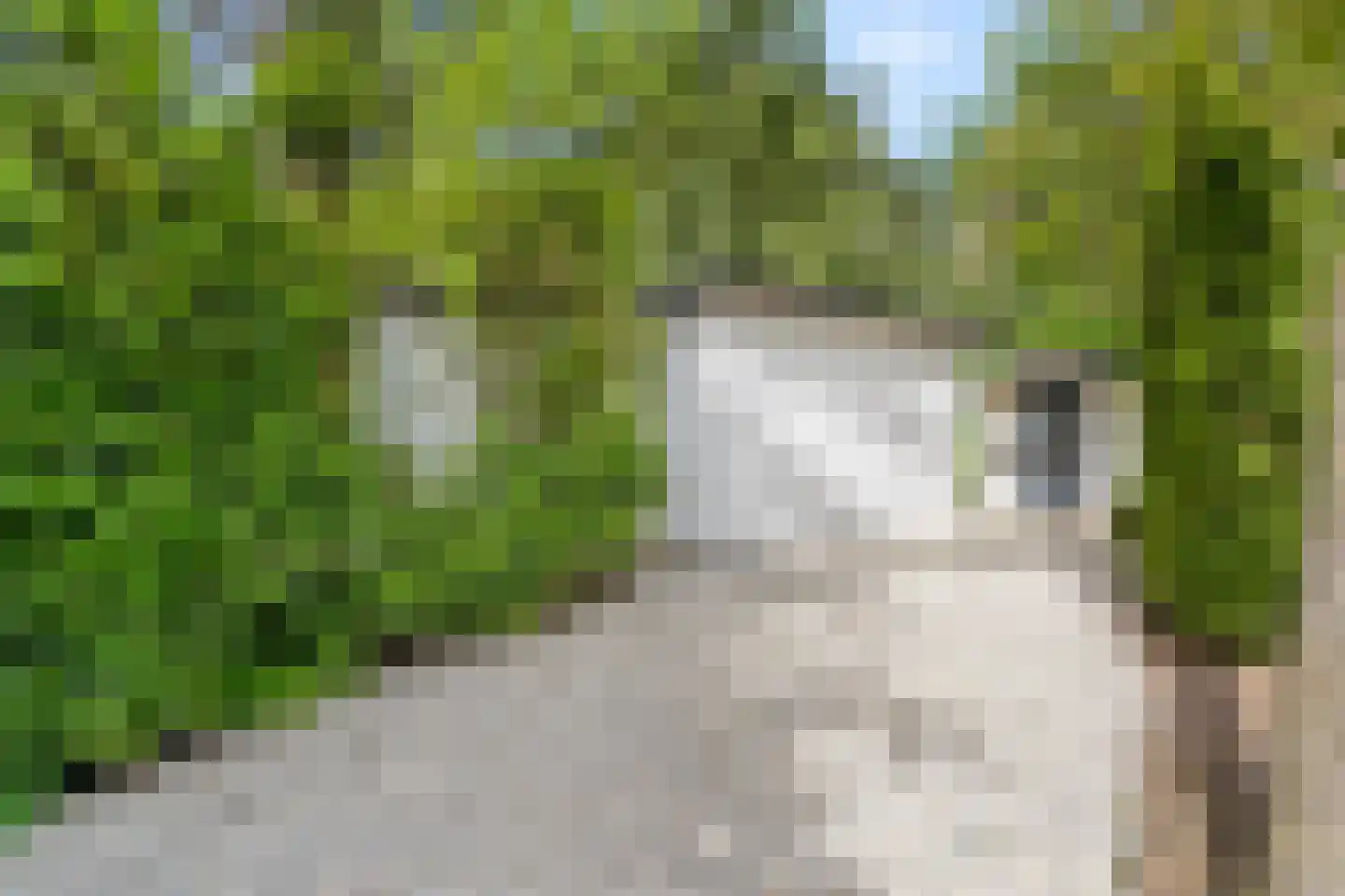Panoramaweg 27 R C17 Bennekom thumbnail 5