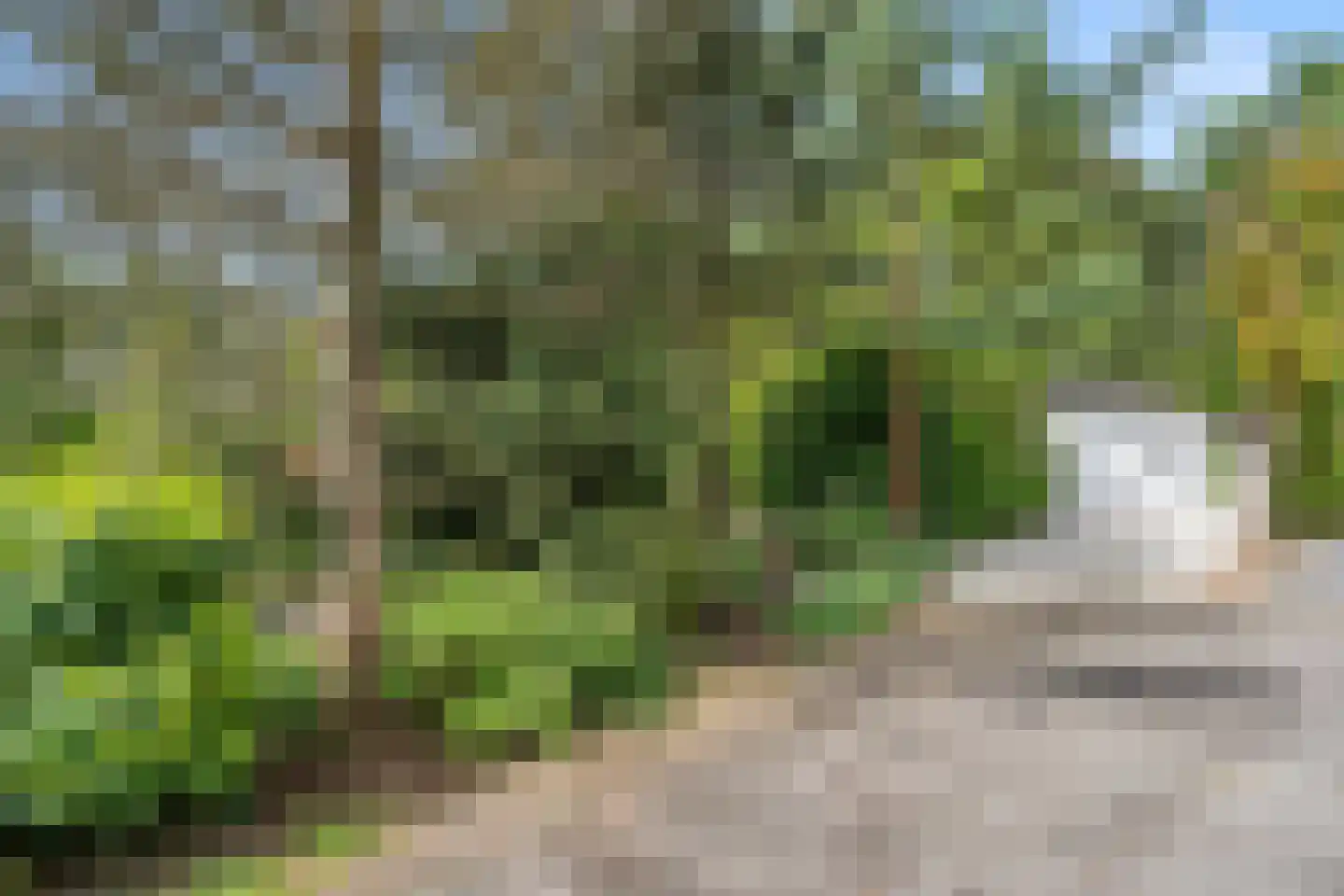 Panoramaweg 27 R C17 Bennekom thumbnail 6