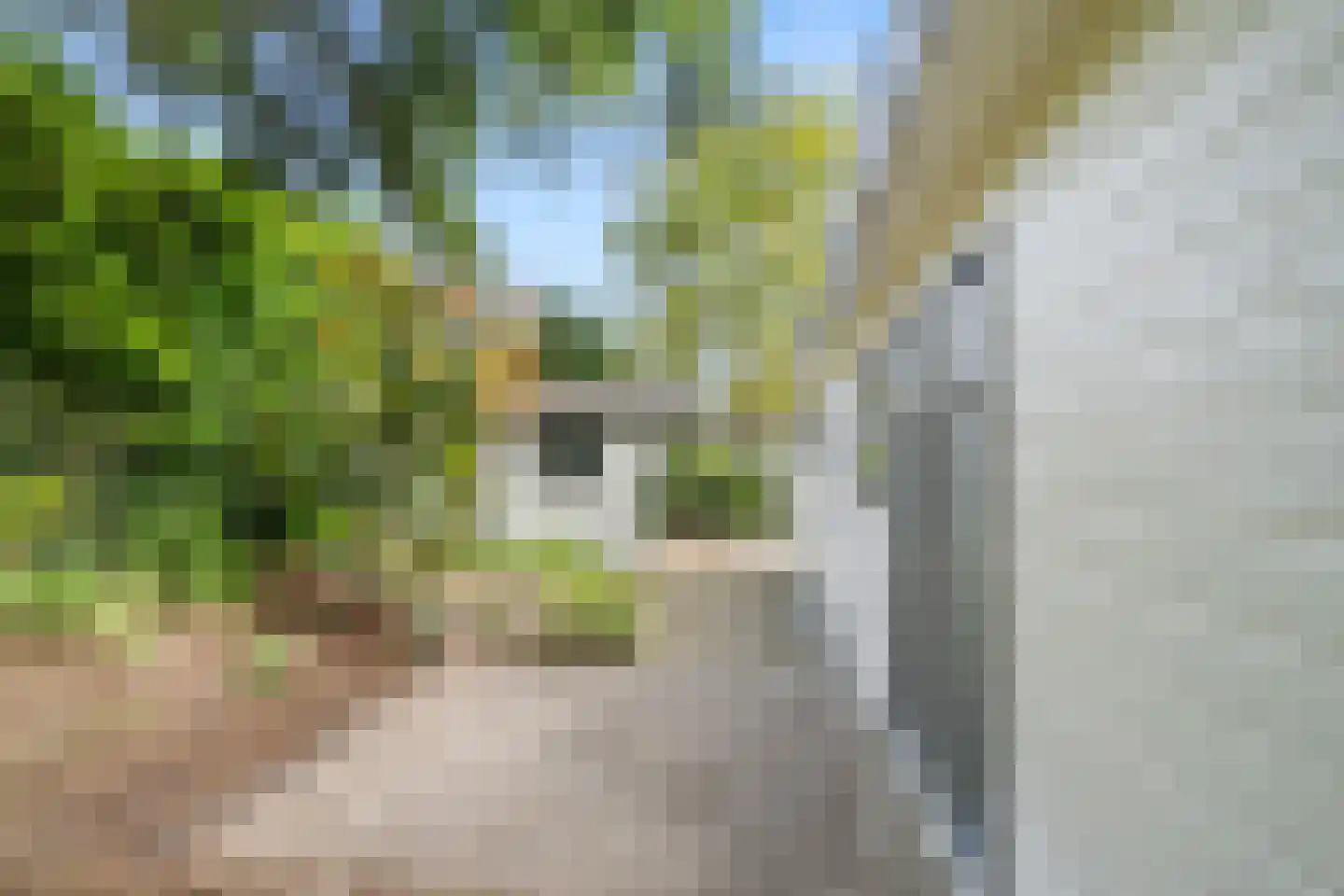 Panoramaweg 27 R C17 Bennekom thumbnail 8
