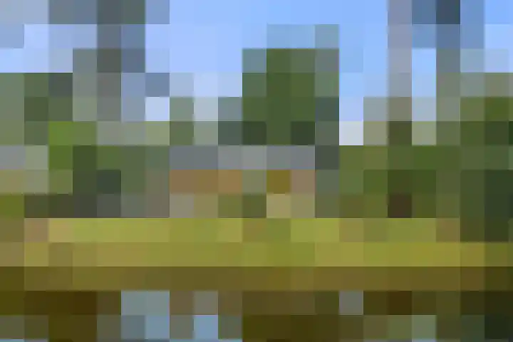 Panoramaweg 27 R D15 Bennekom