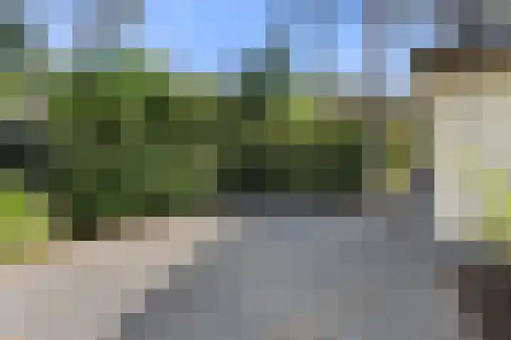 Panoramaweg 27 R D15 Bennekom thumbnail 10