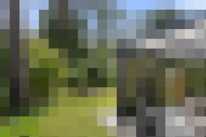 Panoramaweg 27 R D15 Bennekom thumbnail 12