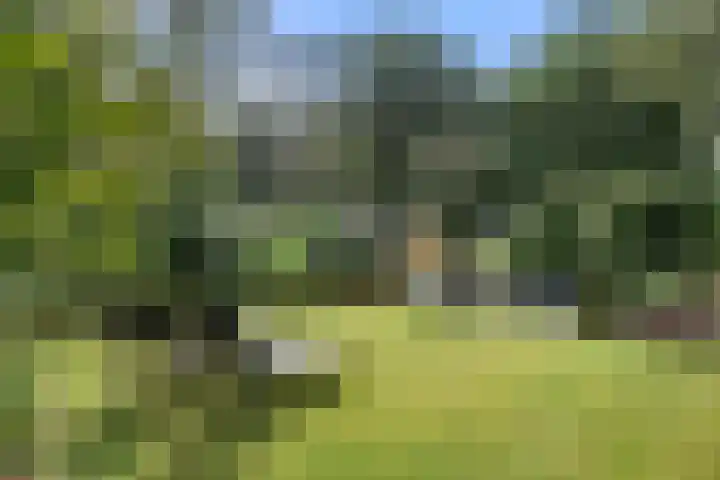 Panoramaweg 27 R D15 Bennekom thumbnail 13