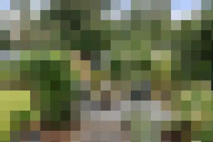 Panoramaweg 27 R D15 Bennekom thumbnail 14